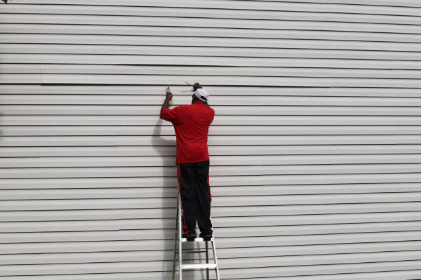 Best Siding Painting and Refinishing  in Durand, WI